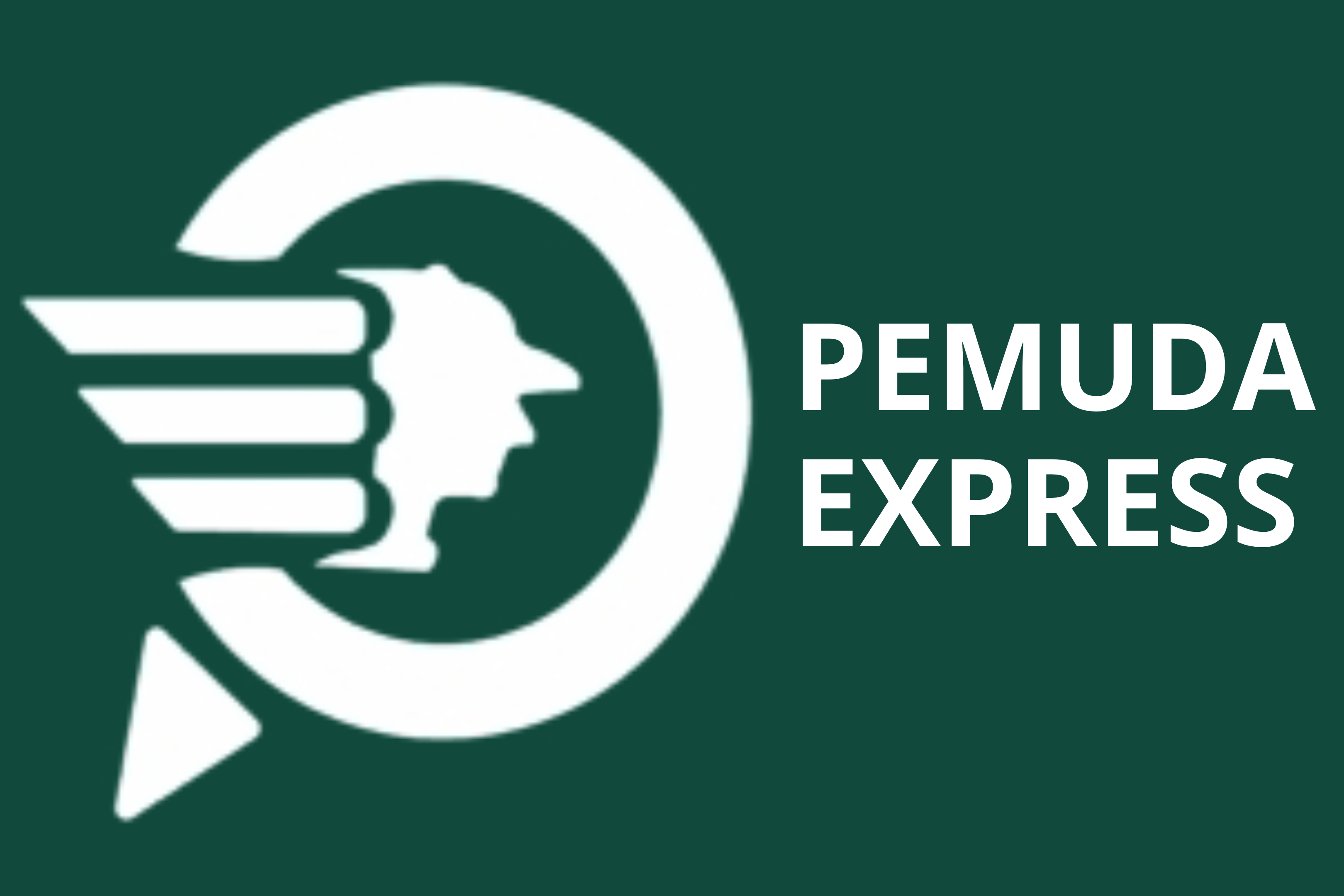 logo pemuda express